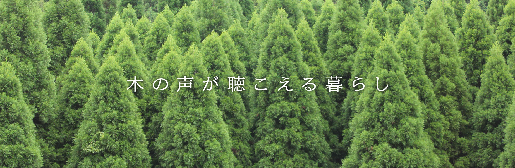 木の声が聴こえる暮らし